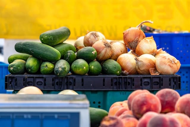 sayuran penurun darah tinggi